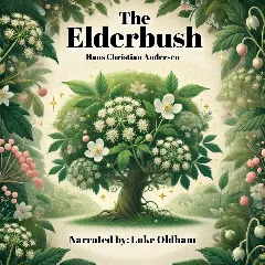 The Elderbush