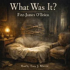 What Was It?