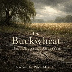 The Buckwheat
