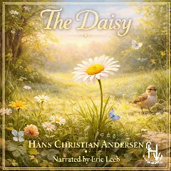 The Daisy