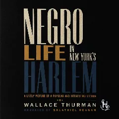 Negro Life In New York's Harlem