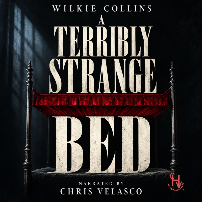 A Terribly Strange Bed