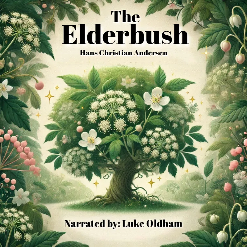 The Elderbush