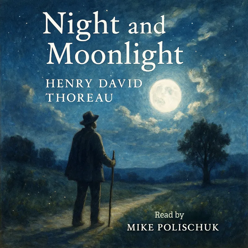Night and Moonlight