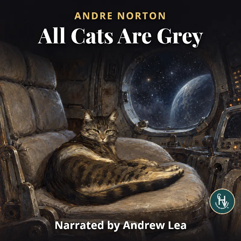 Cover of All Cats Are Grey