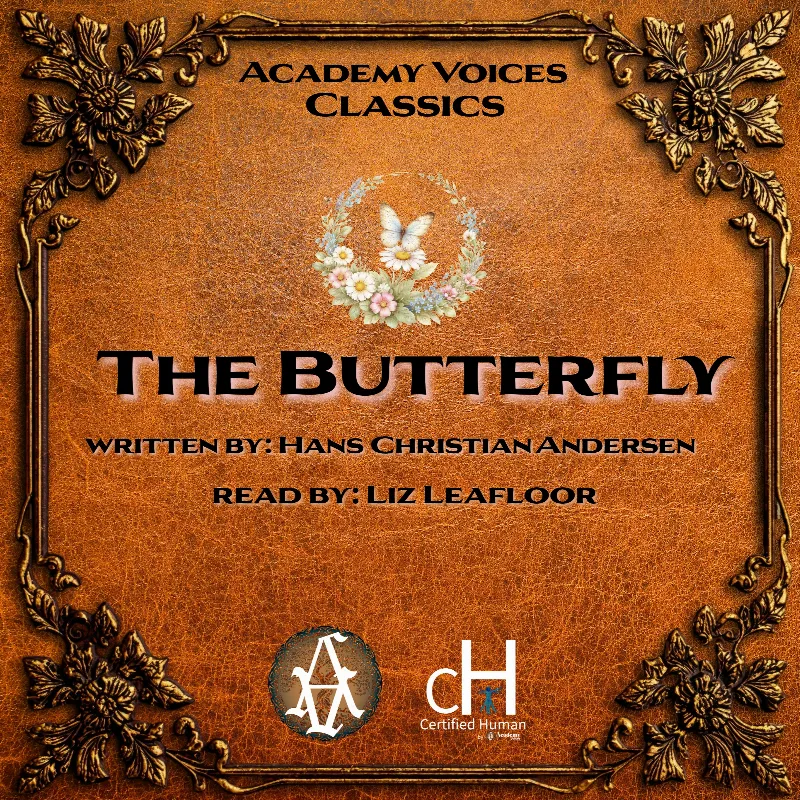 The Butterfly