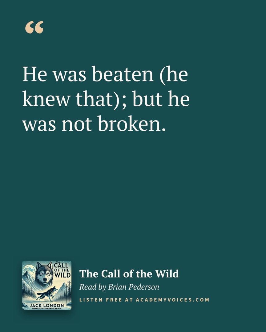 The quote card, built from a line the author picks.